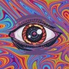 Logo of telegram channel microdosetoday — Microdosing Empire🍄