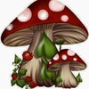 Logo of telegram channel microdosingmushroomchocolatebars — Psychedelics Microdosing Mushrooms | Vape Carts