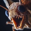 Логотип телеграм канала @micromir_zoom — Тайны микромира