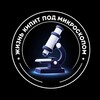 Логотип телеграм канала @microscop_life — Жизнь кипит под Микроскопом