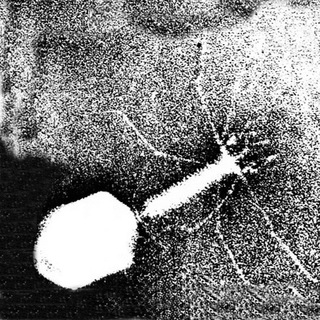Логотип телеграм канала @microscopic — Микроскопия в движении