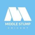 Logo saluran telegram middlestumpcricket — 𝗠𝗜𝗗𝗗𝗟𝗘 𝗦𝗧𝗨𝗠𝗣 🏏