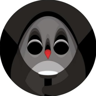 Логотип телеграм канала @midnightpenguin — Пингвин Полуночник