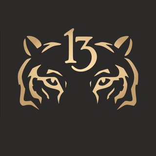 Telegram channel Михаил Зарецкий 🐯 logo