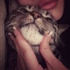 Логотип телеграм канала @miiilllill — 𝑀𝑖