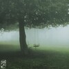 لوگوی کانال تلگرام miim_rahimi — •تی‌شین•