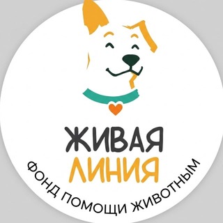 Логотип телеграм канала @mikhail_savizkiy — Михаил Савицкий | 𝙈𝙞𝙠𝙝𝙖𝙞𝙡 𝙎𝙖𝙫𝙞𝙩𝙨𝙠𝙮