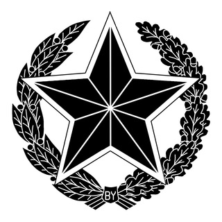 Логотип телеграм канала @mil_by — Военкор_BY