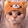 Telegram channel Милошно 🐱🐶 logo