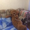 Логотип телеграм канала @milayasam_tt — в голове у милой сэм | тату казань / москва