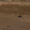 Логотип телеграм -каналу milbaza — Milf.BAZA.