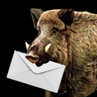 Telegram channel CANAL JABALÍ logo