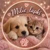 Логотип телеграм канала @milie_lapki — Милые Лапки