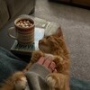 Логотип телеграм канала @miliiisss — miliisss
