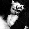 Логотип телеграм канала @milis_as — милис