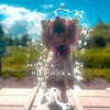 Логотип телеграм канала @milkawhitenegr — милка негрилка🧚🏻