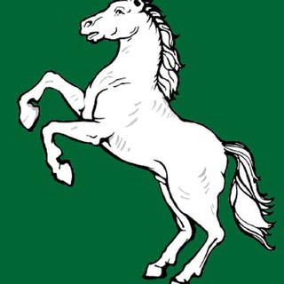 Логотип телеграм канала @millers_horse — Конь Миллера