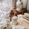 Логотип телеграм канала @millllinn — 𝑺𝑶𝑭𝑰𝑨 𝑴𝑰𝑳𝑳𝑰