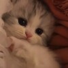 Логотип телеграм канала @milo4ka1337 — притон мило4ки🎀