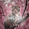 Logo of telegram channel milver_cats — 𝐦𝐢𝐥𝐯𝐞𝐫 𝐜𝐚𝐭𝐬 