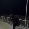 Логотип телеграм канала @milydlarrr — миланка детпул