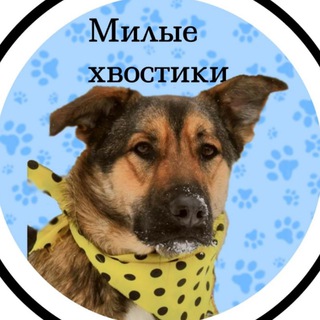 Логотип телеграм канала @milye_hvostiki — Milye_hvostiki
