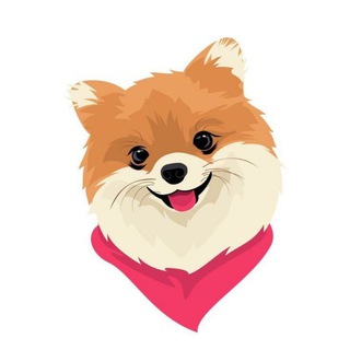 Логотип телеграм канала @mimimidog — DOG