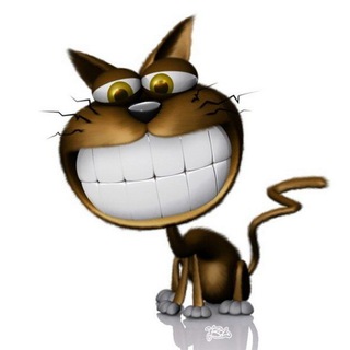 Логотип телеграм канала @mindofcat — Блохастый Кот