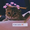 Логотип телеграм канала @minelovery — Мама, я влюбилась.