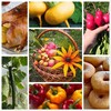 МИНЕМ БАКЧАМ 🌿РЕЦЕПТЛАР - Telegram Channels