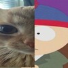 Логотип телеграм канала @mingyue222 — лучше бы я играл на баяне и дальше