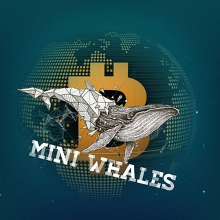 لوگوی کانال تلگرام mini_whales — انواع دوره ترید