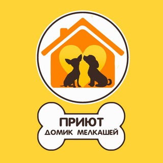 Логотип телеграм канала @minidog_911 — Домик Мелкашей - приют для маленьких собак