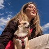 Логотип телеграм канала @minidogsblog — псы светлячки