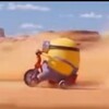 Логотип телеграм канала @minionioswallpaper — ios_minion_wallpaper