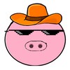 Логотип телеграм канала @minipiggies — хрюшки хрюхрюшки 🐽❤️