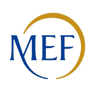 Telegram channel MetroPolitica | Ministero dell'Economia e Lavoro logo