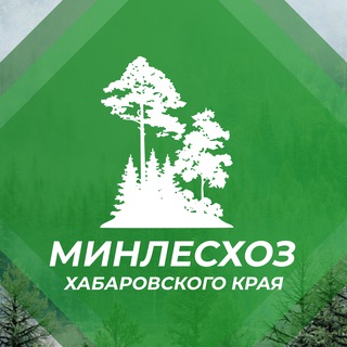 Логотип телеграм канала @minleshoz27 — Министерство лесного хозяйства и лесопереработки Хабаровского края