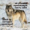 Логотип телеграм канала @minmincorner — минмин.ай.эм | боль среди мемов