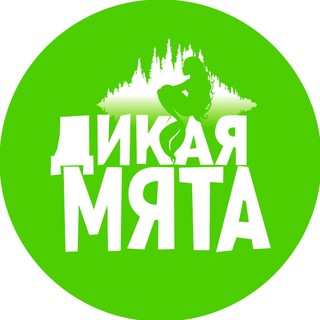 Логотип телеграм канала @mintmusicfest — ДИКАЯ МЯТА ✔