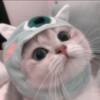 Логотип телеграм канала @minty55 — минти фан