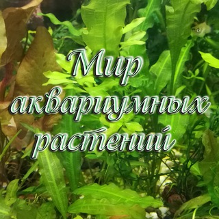 Логотип телеграм канала @mir_aquaplants — Мир аквариумных растений