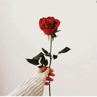 Логотип телеграм канала @mir_dushi_19 — Mir_dushi🌸