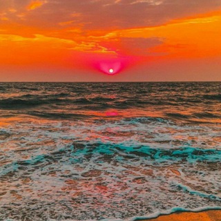 Логотип телеграм канала @mir_kartink0k — Природа/Nature