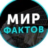 Логотип телеграм канала @mir_faktovick — Мир Фактов 💡