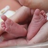 Логотип телеграм канала @mir_surmam — Суррогатное материнство Мир Сурмам