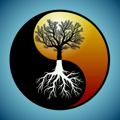 Logo saluran telegram miraclesofnaturee — Miracles Of Nature🌎