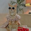 Логотип телеграм канала @miradoma — mira doma