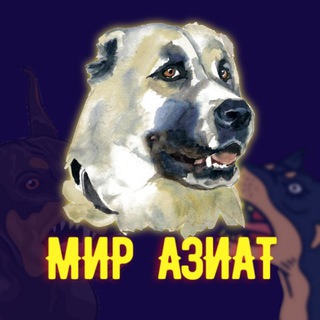 Логотип телеграм канала @miraziat — Мир Азиат