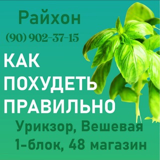 Логотип телеграм канала @mirdruzey2018 — КАК ПОХУДЕТЬ ПРАВИЛЬНО